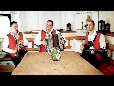 Wildbach Trio feat. Werner Szlamar - Da Leitenbauer