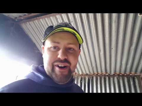 Classic Mini - Episode 16 - The Strip Down Part 1