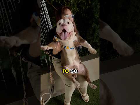 Comment a picture of your fur goblin🐾😂🥰🐾 #pet #funny #cute