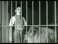 Charlie Chaplin The Lion S Cage Charlie Chaplin Comedy Videos Charlie Chaplin Dance