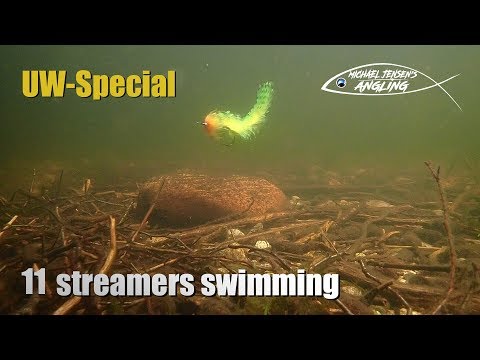 11 Streamer flies - swimming under water