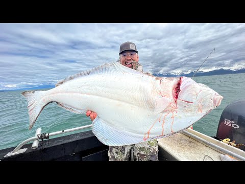 The Halibut Capital of The World: MASSIVE Alaska Halibut CATCH CLEAN COOK!