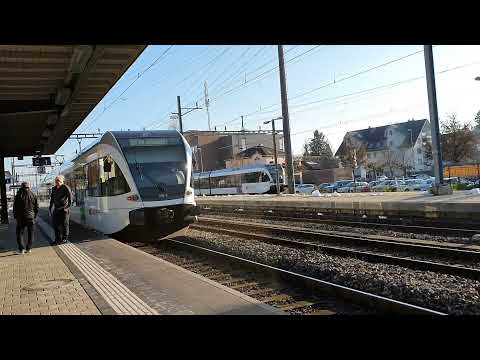 Thurbok a Weinfelden-i vasútállomáson