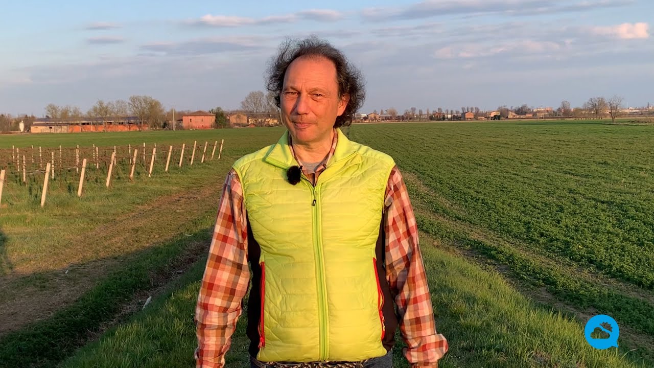 youtube video id=nsbor_NUiC8