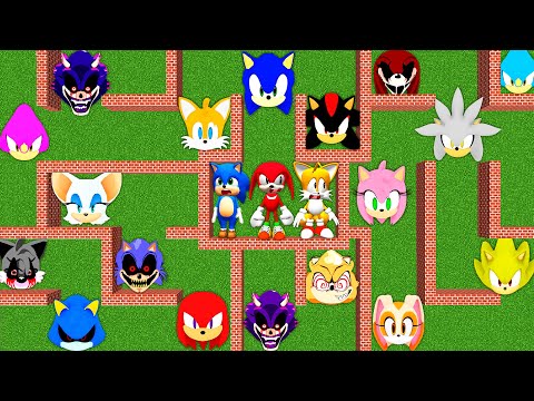 MAZE of SONIC in MINECRAFT animation - ESCAPE NOW with SHADOW SILVER AMY ROSE TAILS KNUCKLES PART 2