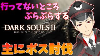 【ダークソウル２】まだ見ぬ地を目指して【Vtuber】
