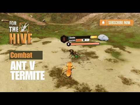 For The Hive - Termite V Ant