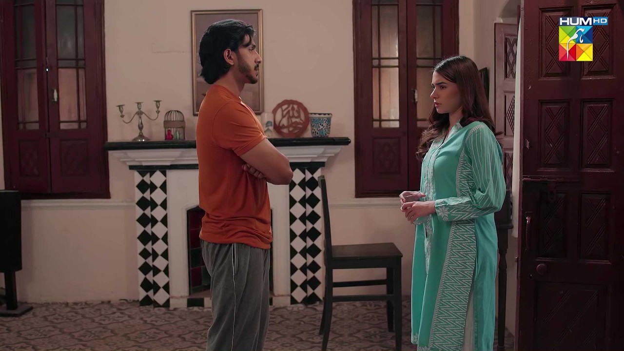 Kya Tum Mujh Par Shakk Kar Rahy Ho..? #mohsinabbashaider #alishbakhan - HUM TV