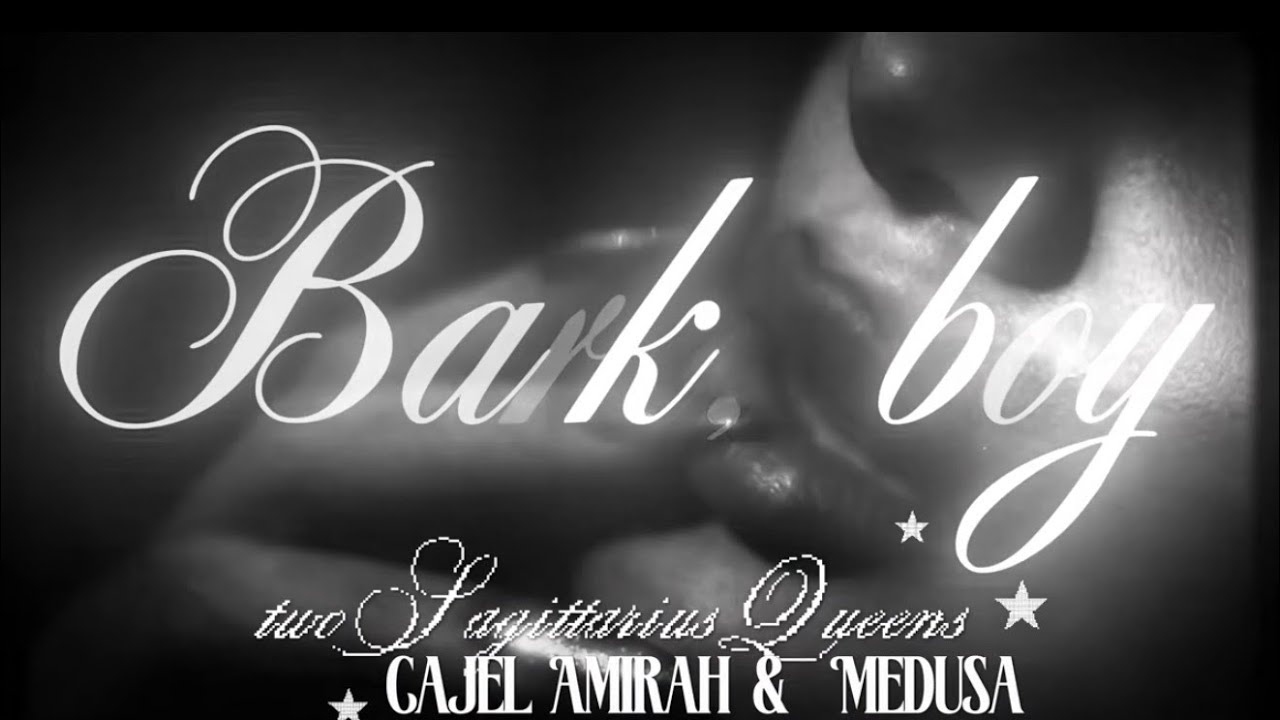 Bark, boy (collab with Medusa)