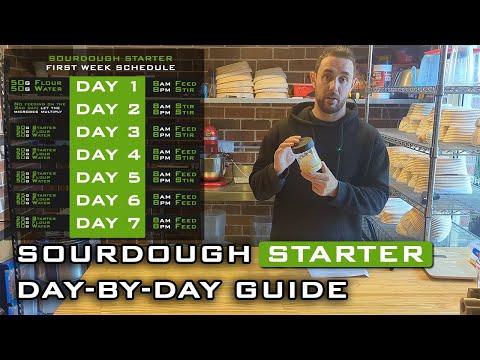 Sourdough Starter from Scratch: Easy Step-by-Step Guide for Beginners