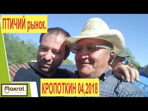 Птичий Рынок. 29.04.2018. Обзор. Кропоткин. Макляк. Макрол.