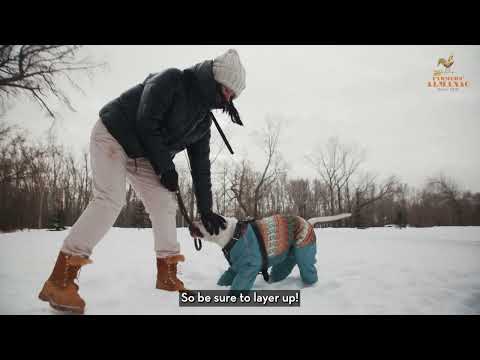 Farmers' Almanac Winter Weather Forecast 2025 - 2026