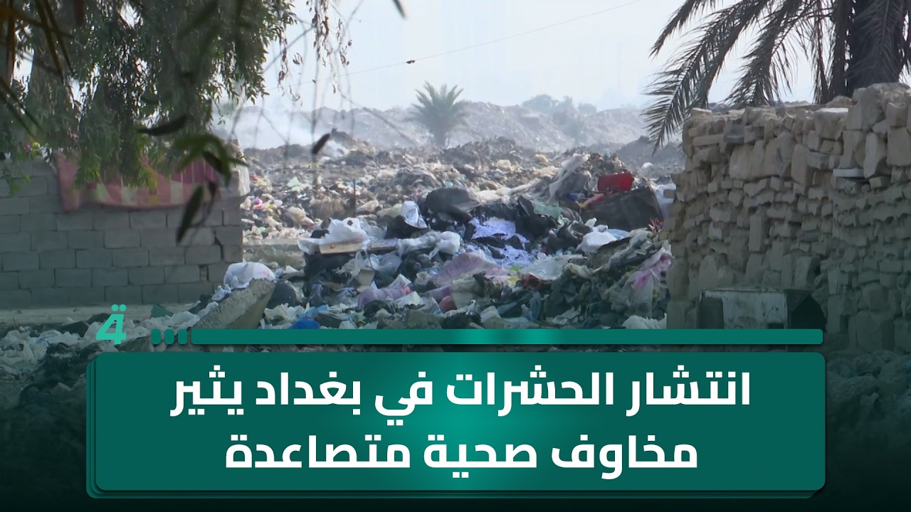 فيديو | انتشار الحشرات في بغداد يثير مخاوف صحية متصاعدة