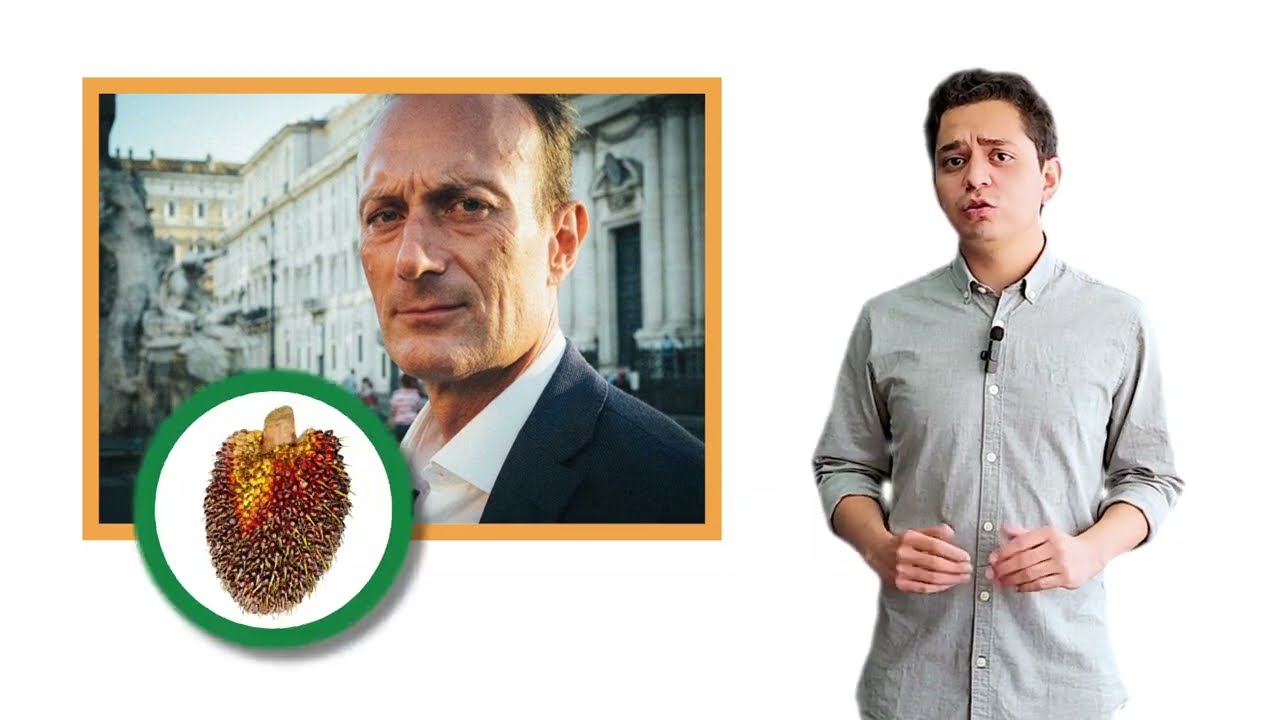 La verdad sobre el Aceite de Palma