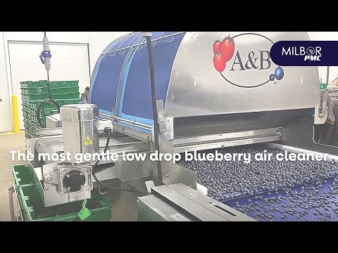 The most gentle low drop blueberry air cleaner | Milbor PMC