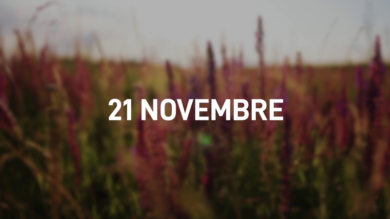 21 Novembre 2025 | Meditazione Parole di Vita