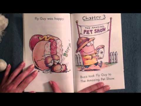 Fly Guy #1:  Hi! Fly Guy