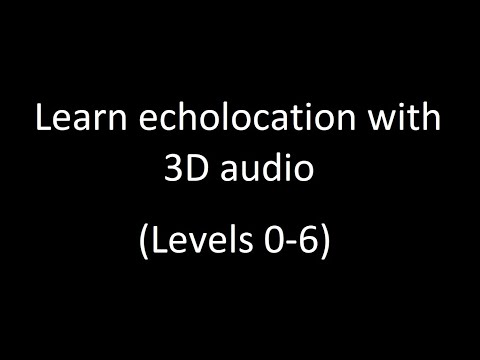 How to echolocate (step-by-step)
