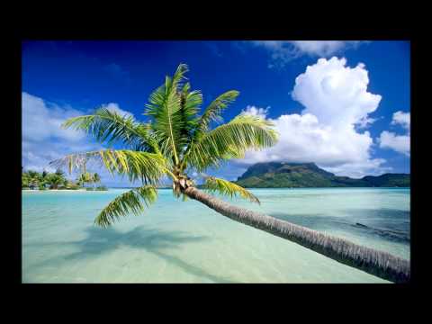 ISOS 11 Niko Pavlidis feat  Row   See Inside Richard Durand´s In Search Of Sunrise Remix) (HQ)