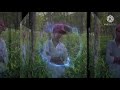 Mon Amar Kemon Kemon Kore Dariya Aiol Tufan Dholki Mix DJ Amit ️ ️