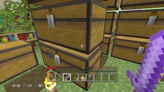 ［マインクラフト］雑談OK！ウィザー討伐