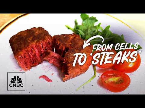 肉類的未來？牛津創業公司將細胞變成 "牛排 "的內部故事 (The future of meat? Inside the Oxford-based startup turning cells into 'steaks')