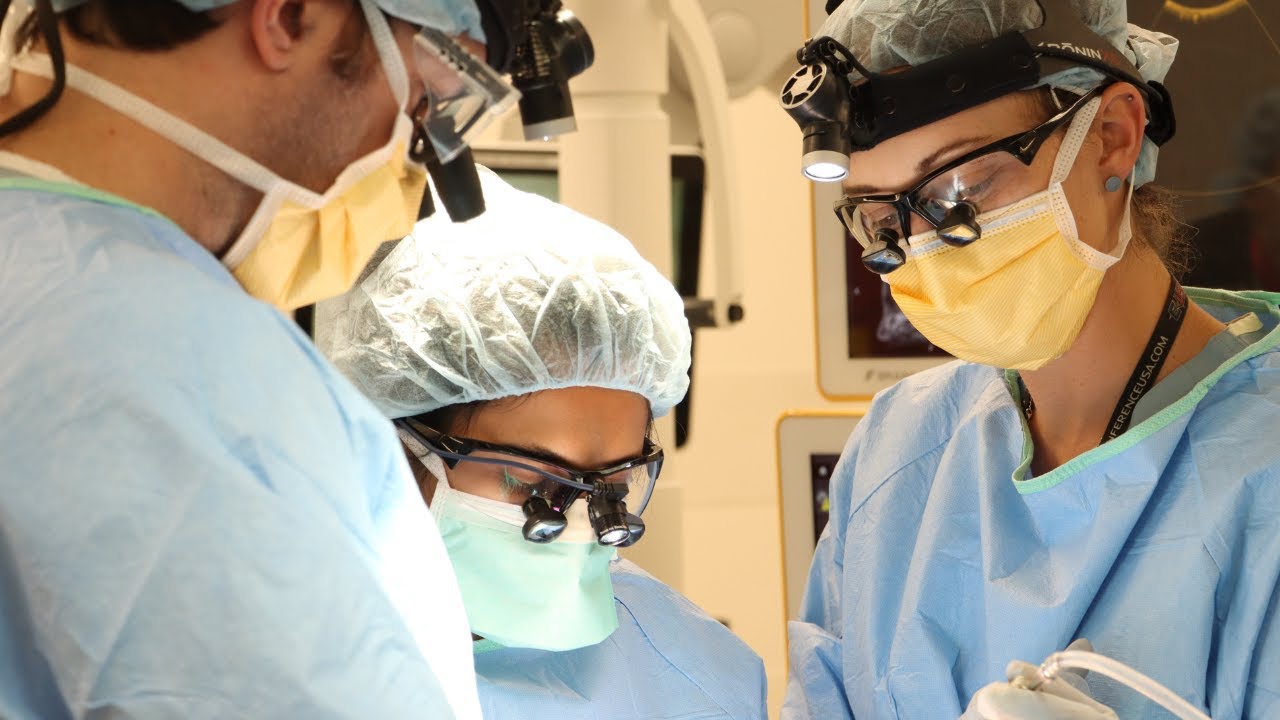 Welcome to the UCLA Neurosurgery Residency Program