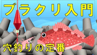 【ブラクリ】穴釣りで根魚を狙う方法