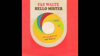 Faz Waltz - Hello Mister (2010)