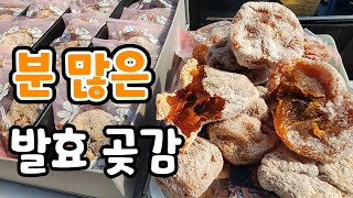 분 많은 발효 곶감! 맛에 반한 곶감 실시간