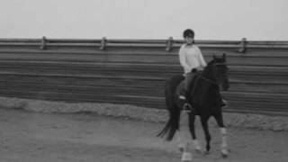 We're going down in history !