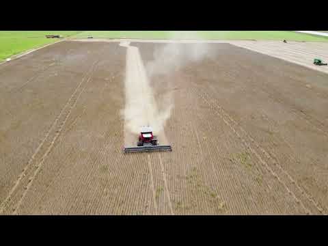 Colheita de Soja 2023/2024. Faz. Inajá. Santa Cruz do Xingu-MT. #agro #matogrosso #colheita 