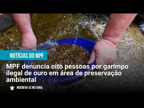 MPF denuncia oito pessoas por garimpo ilegal de ouro em área de preservação ambiental - 24/09/2025