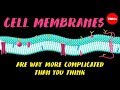 Cell Membranes Are Way More Complicated Than You Think Nazzy Pakpour