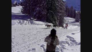 ski de fond et chiens de traineaux.wmv