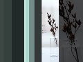【数秘術】ちょっと実験してみました☆【占い】