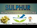 Sulphur Homoeopathic Medicine HOMOEO DRUG PICTURE With Almost Related Picture HOMOEOPATHY