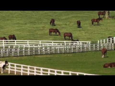 MY OLD KENTUCKY HOME, GOODNIGHT-1851-Performed by Tom Roush