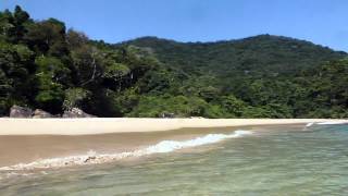 Serge Gainsbourg - Lola Rastaquouère