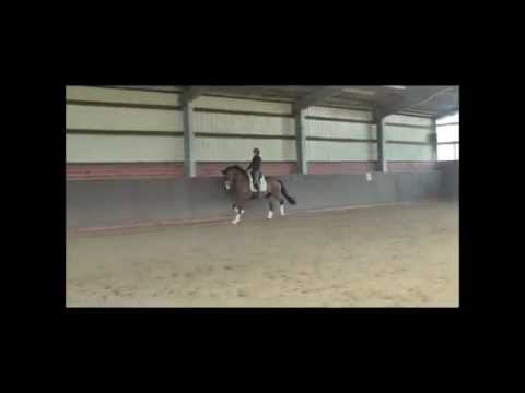 Estobar NRW x Waterfort