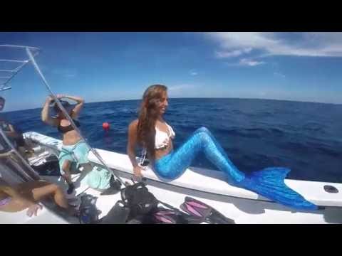 Girls freediving with sharks