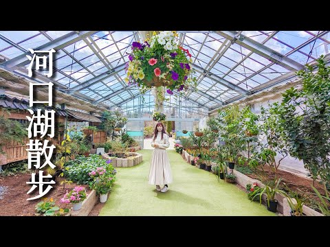 ¡La pista de la estación de automóviles del lago Kawaguchi ya está disponible! El observatorio más hermoso del Monte Fuji visto al mismo tiempo 🗻 Caja abierta adjunta a un shu privado privado de aguas termales semiabiertas, diario de viaje al jardín de hierbas, tienda de fideos Hokoku ｜ Lugares dispersos alrededor de Tokio 🐾 Suburbios de Tokio, viajes a Japón, La vida japonesa satori