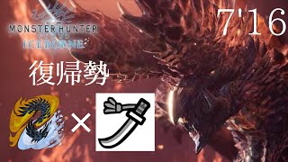 【MHWI】TA未経験の復帰勢がタイムを少し追求してみた | アルバトリオン 7'16