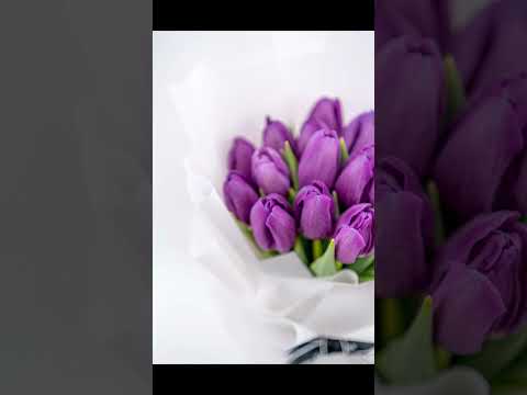 鬱金香代表什麼