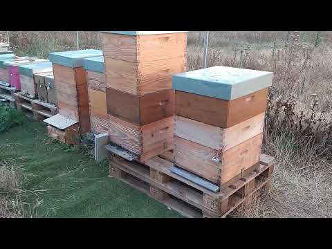 De 4 a más de 30 en cuatro meses