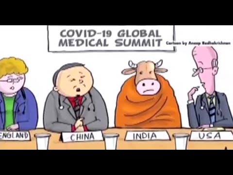 BJP hits out at Lalithakala Akademi for honouring cartoon 'humiliating' nation