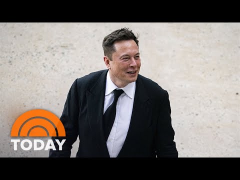 Elon Musk To Grant ‘Amnesty’ For Suspended Twitter Accounts
