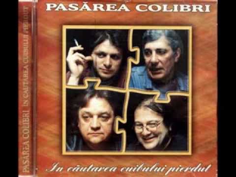 Pasarea Colibri -  In cautarea cuibului pierdut (1995) (full album)