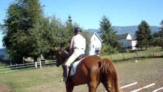 The Love of LIFE! {Music by Gretchen Wilson}