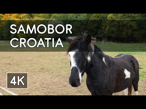 Walking Tour: Samobor, Croatia - 4K UHD